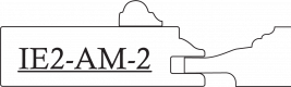 IE2-AM